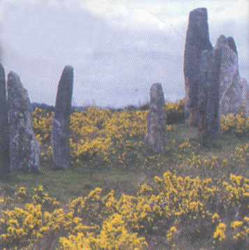 Brittany typical moor scene with dolmens